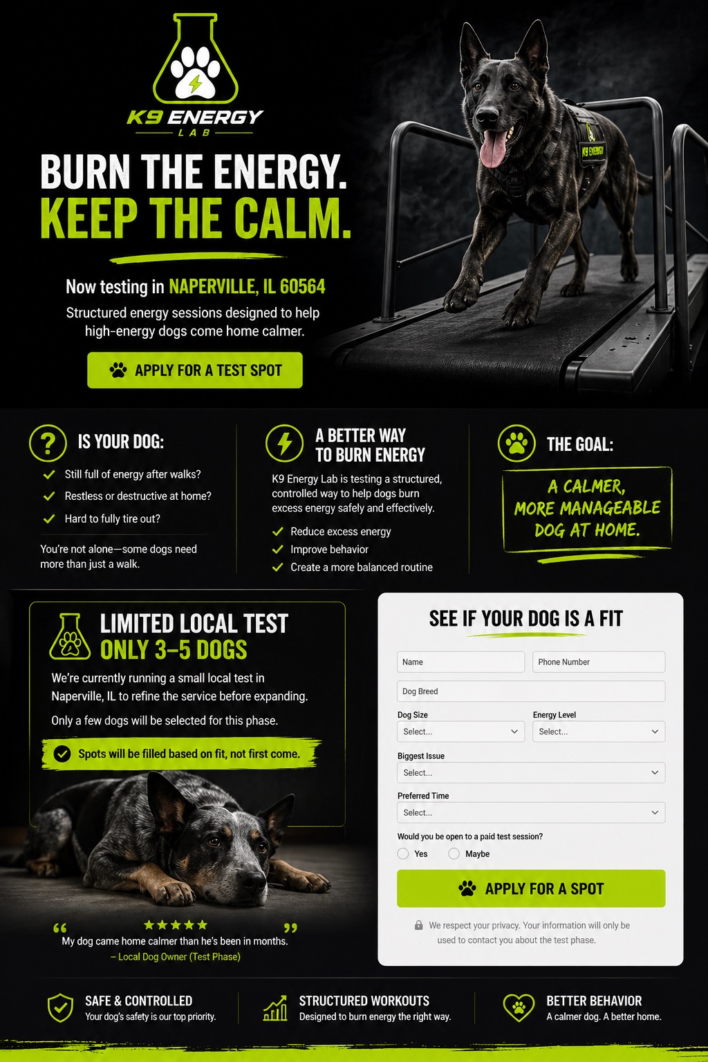 K9 Energy Lab local test landing page concept with dog treadmill hero image, application form, and neon green call to action.